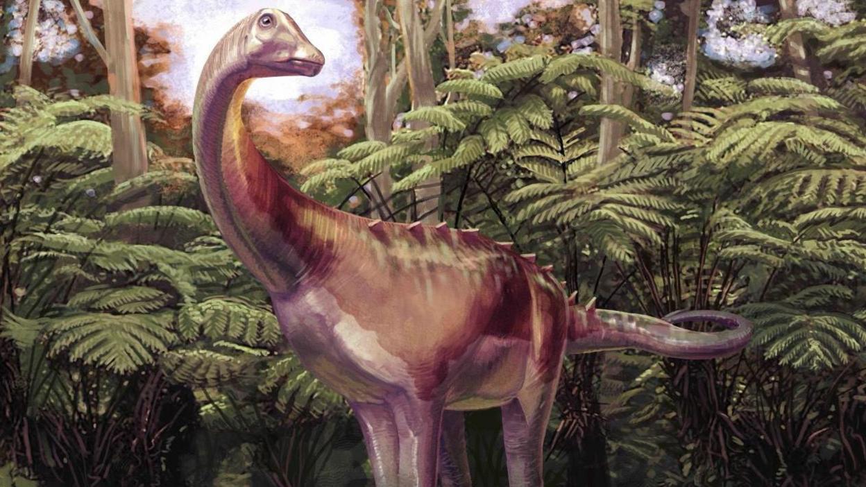 An artist's impression of a light brown Titanosaur, with its long neck and long tail. It's standing on all four legs amongst some green tree ferns. There are some spikes running along its lower back and the upper part of its tail. It is turned towards us but its neck is slightly twisted as its small head, with a closed mouth, looks around slightly to its left