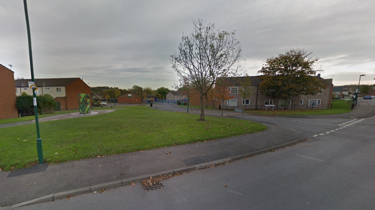 A grass area on a suburban road with houses in the background.