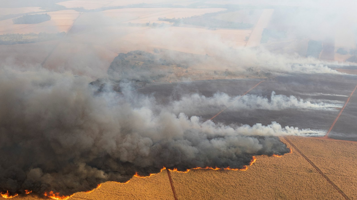 A drone view shows the fire in a sugar cane plantation near Dumont city in the state of São Paulo