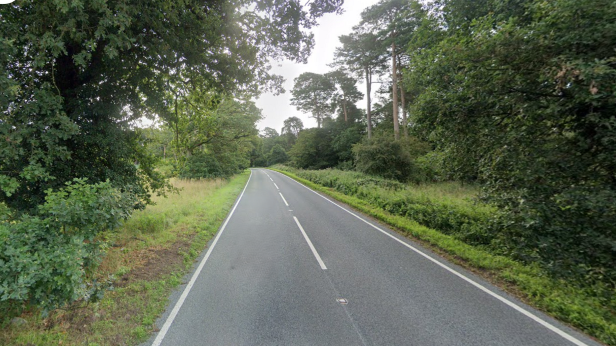 A google street view image of trees lining the B1108 near Hilborough