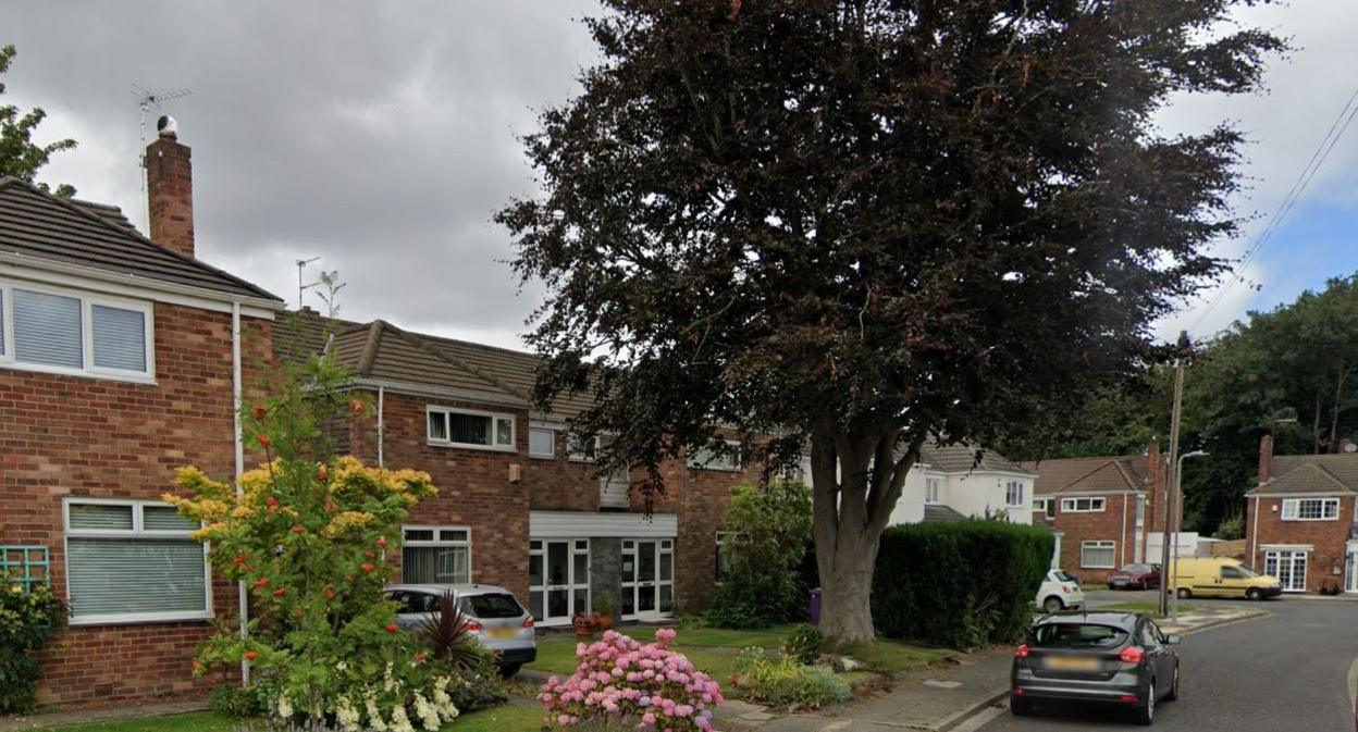 A tall tree in the front garden of a semi-detached house in a suburban street.