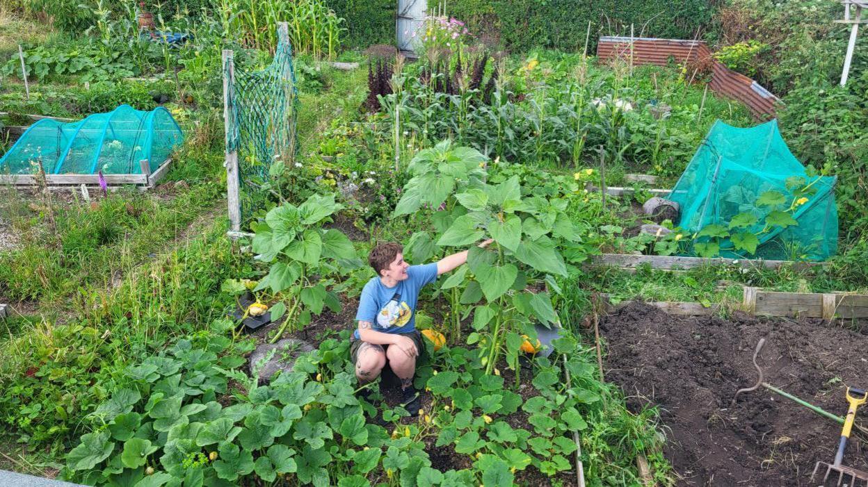 A woman is crouched down holding her arm out to tall piece of vegetation. She is surrounded by other produce growing on nearby plots.