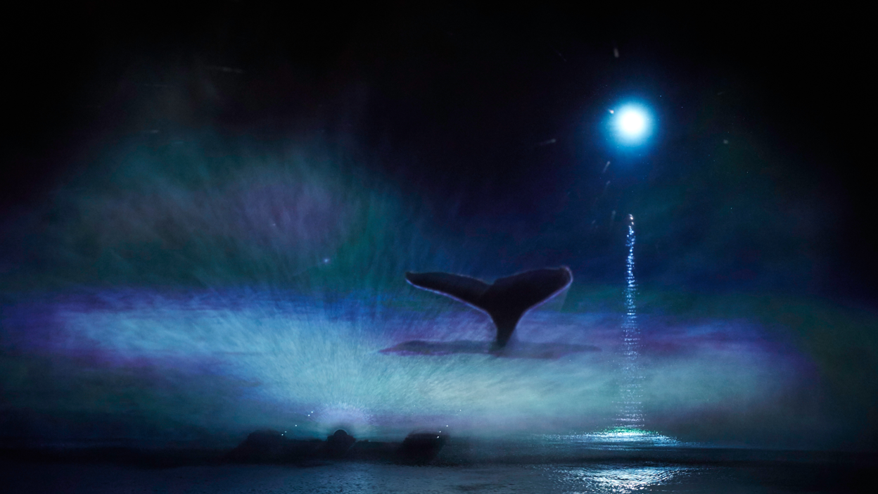 Mysticète is a projection of a whale's tale emerging from waters shining in green, purple and blue above the River Wear. 