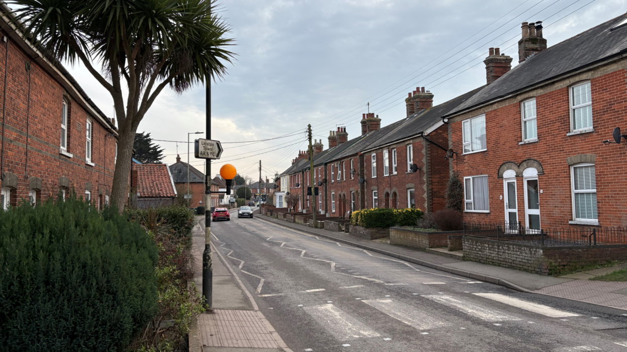 Red-brick homes in a road in Leiston. There is a palm tree on the left hand side and a pedestrian crossing. It is a cloudy, overcast day. 