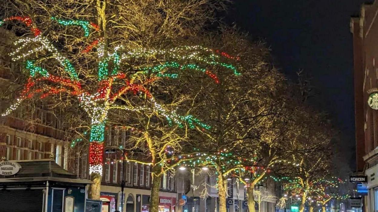 Trees lit up in red, white and green lights