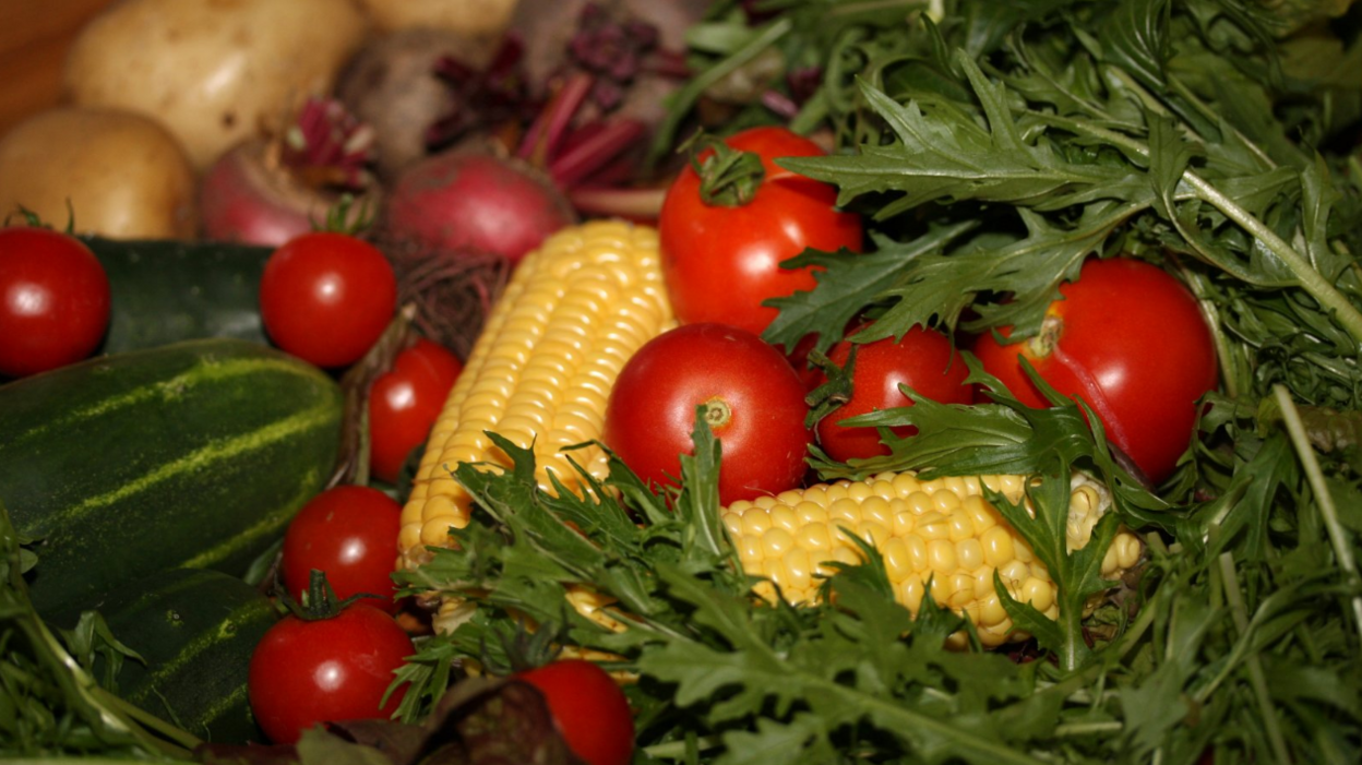 A shot of vegetables which includes tomatoes, sweetcorn, cucumbers, beetroot, potatoes, rocket, mizuna, courgette. 