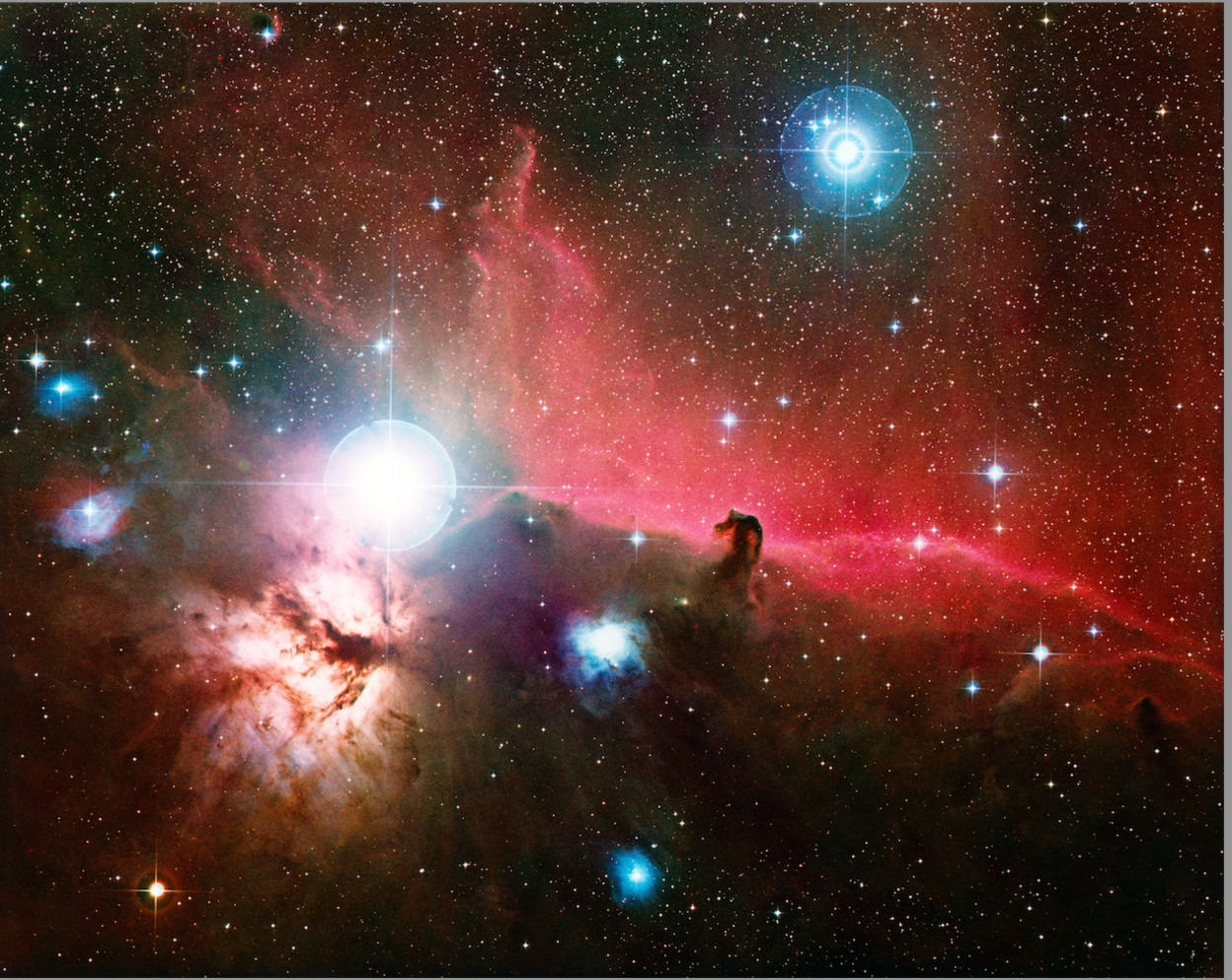 A bright white star dominates the left, glowing with a cross-shaped flare against swirling pink, red and brown gas clouds. A tiny dark horse-head shape rises from a glowing ridge. Countless small stars sparkle across the black background, with a few larger blue-white stars shining near the top.