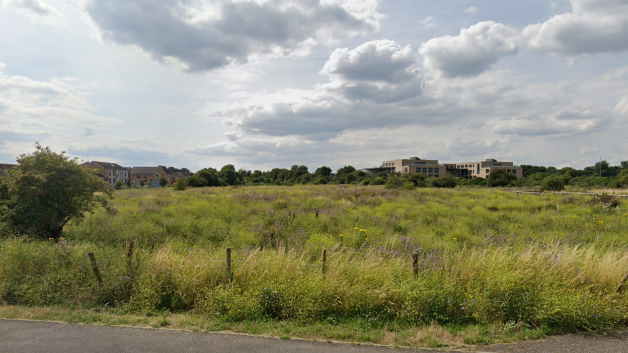 A field of tall grass with buildings in the background