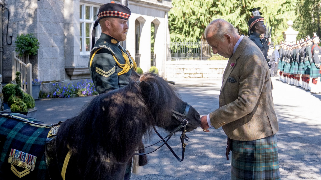 King Charles III, wearing a tweed jacket and tartan kilt, meets Corporal Cruachan IV, the Shetland pony mascot of the Royal Regiment of Scotland, during a military parade outside a stone building. The pony, dressed in a regimental tartan blanket and service medals, stands beside handler Corporal Rory Stewart in ceremonial uniform. King Charles III reaches out to greet the pony while rows of soldiers in tartan uniforms stand on parade in the background.