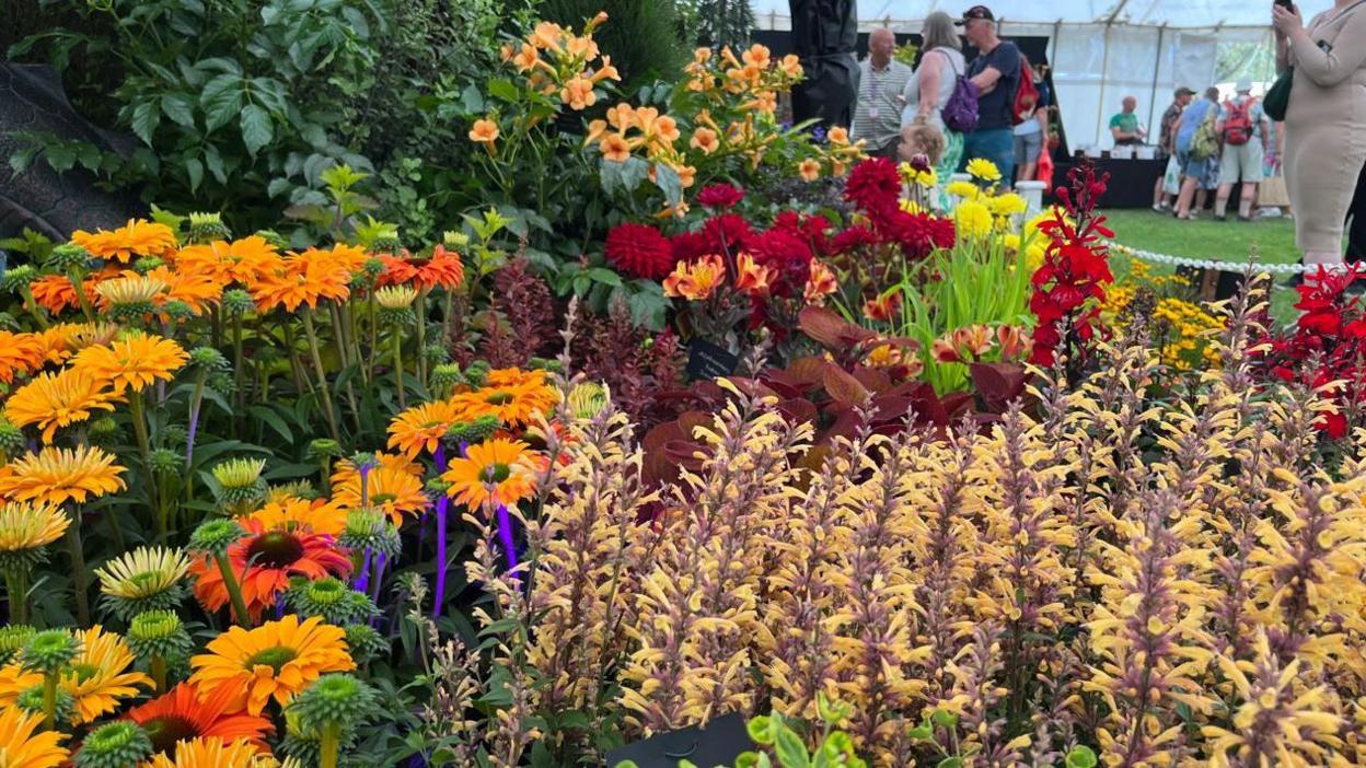 A close up of orange, red and yellow flowers