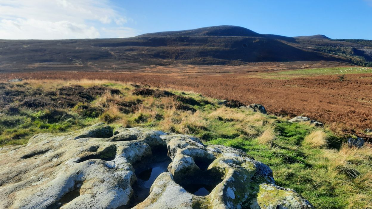 The Simonside Hills in the distance, in the foreground are some weathered rocks and a field of bracken 