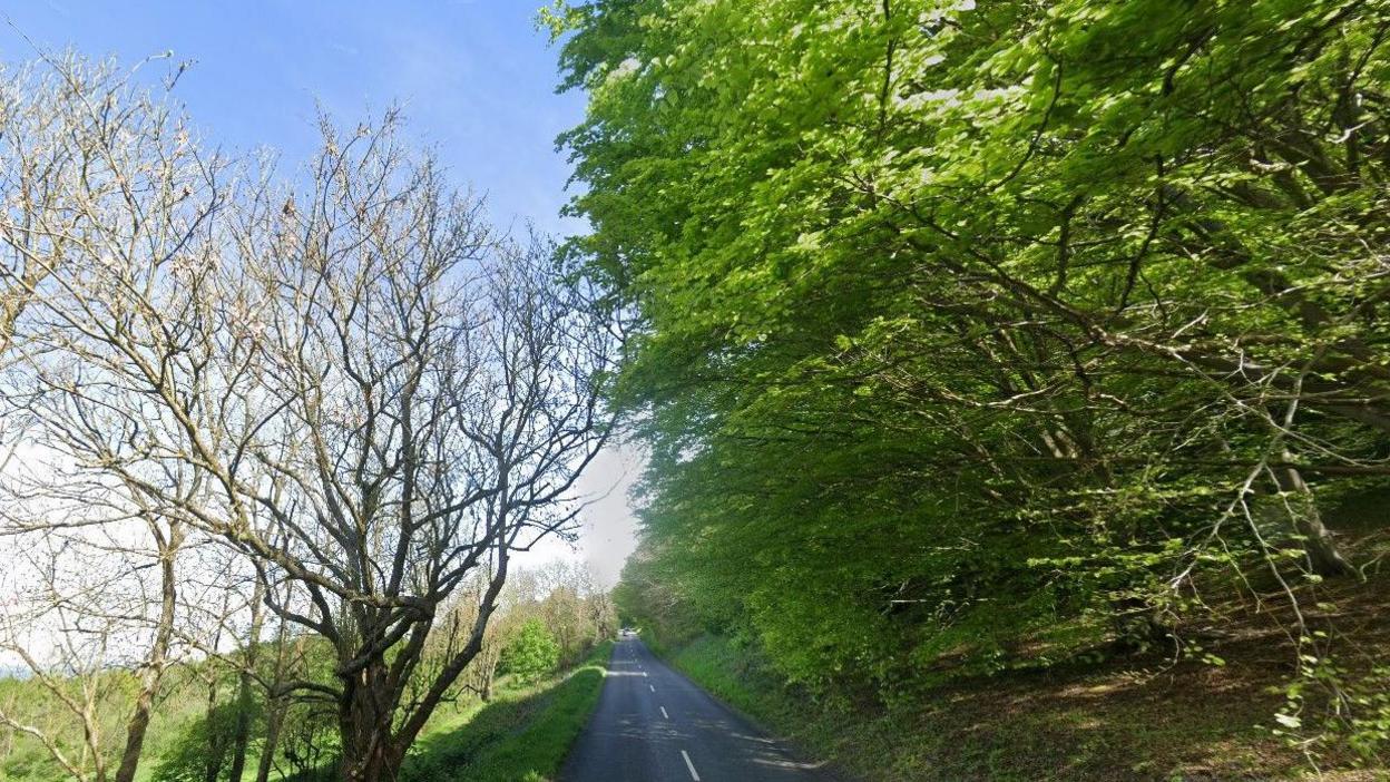 A generic image of a road, which is going through the middle of the photo. There are trees to the right and left of the road.