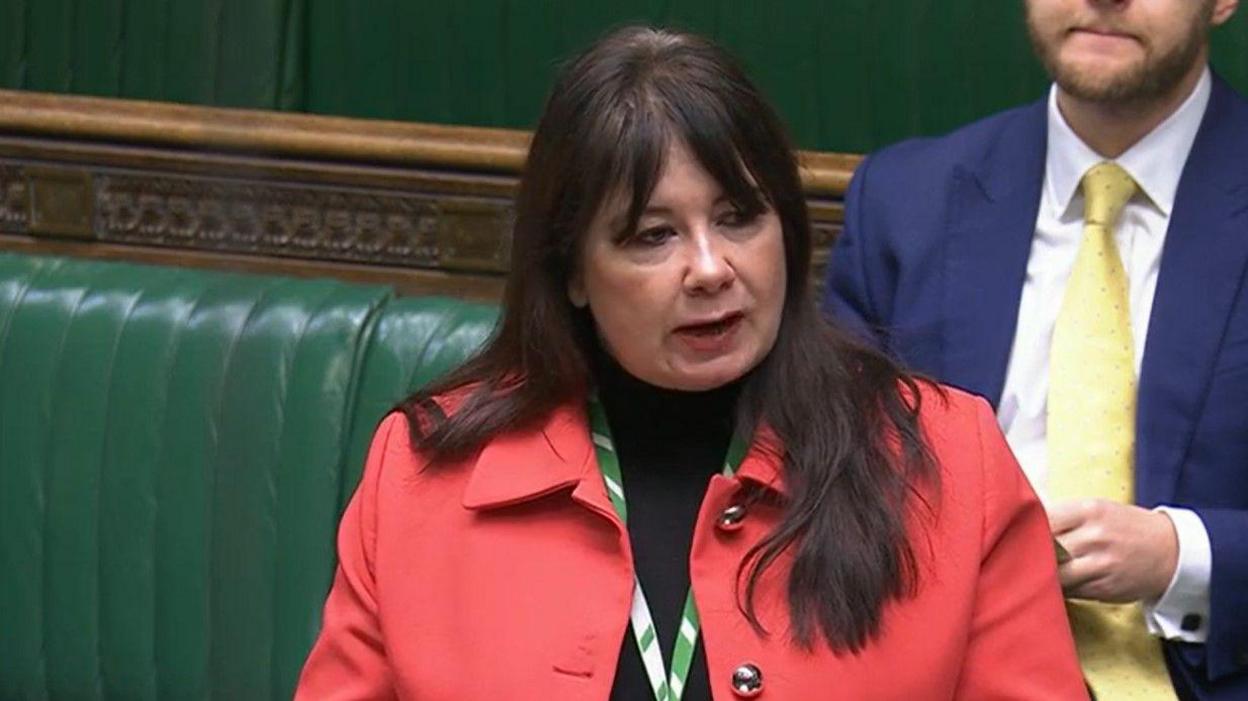 Anneliese Midgley, who has long dark brown hair and wears a red jacket, speaks in the House of Commons with the green benches visible in the background