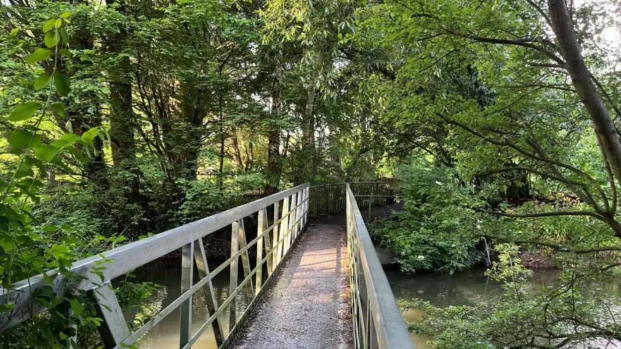 A view looking down a footbridge over a river into leafy green trees.