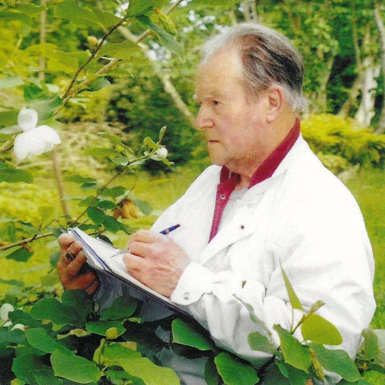 Valentine Paton is standing outside sketching a white magnolia flower. He has grey hair and is wearing a white jacket over a red shirt and has a look of concentration.