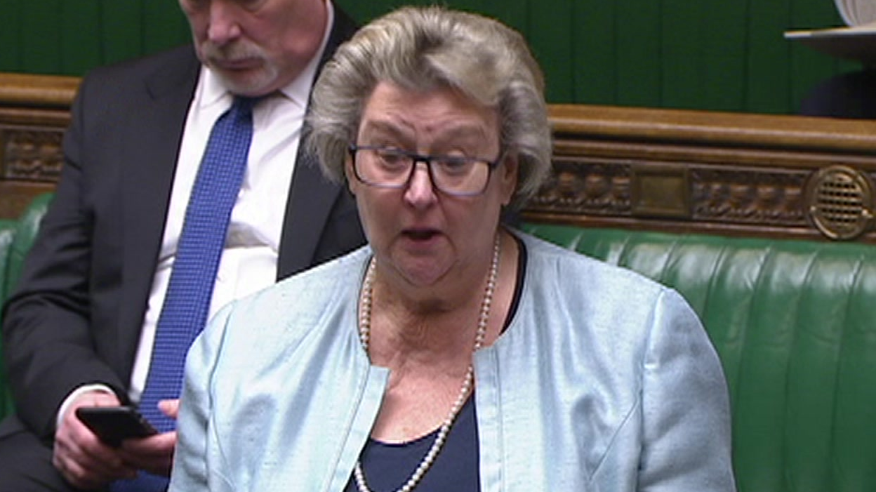 MP Heather Wheeler speaking in the Commons