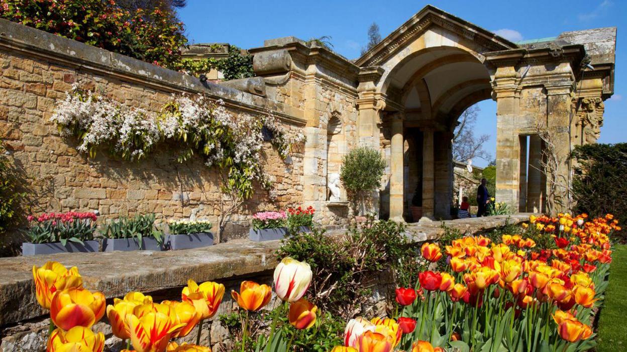 Flowers at Hever Castle