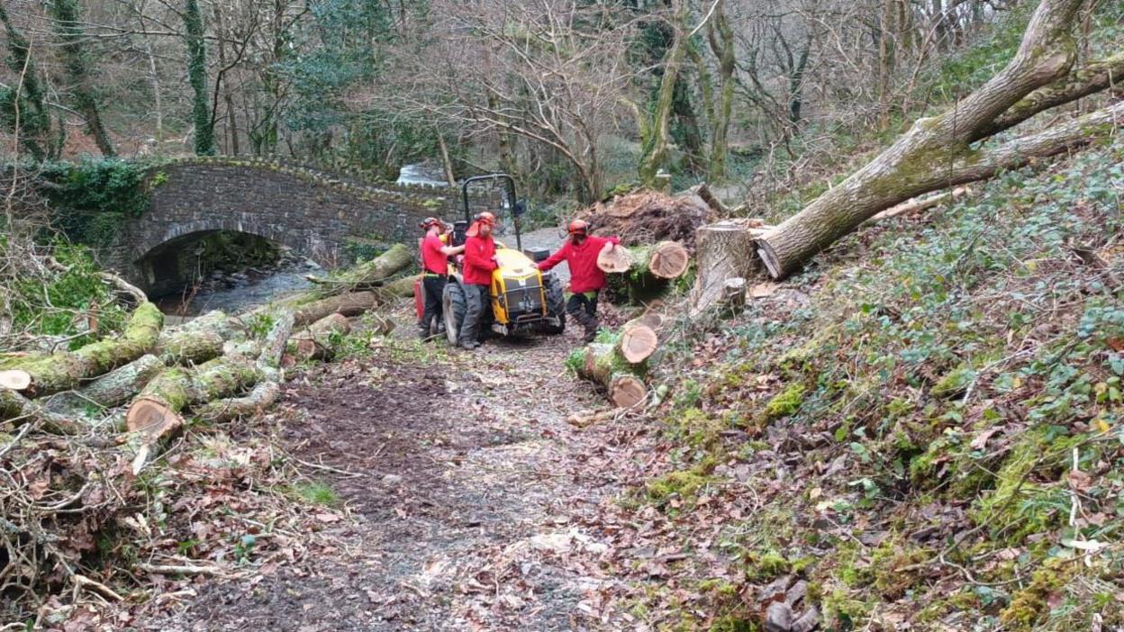 Three park rangers wearing black trousers, red jumpers and red hard hats. They are standing next to a yellow tractor being used to move chopped trees. The rangers are standing in the middle of a forest, surrounded by fallen trees, foliage and autumnal leaves on the ground. Behind them there is a stone bridge reaching over a flowing river. 