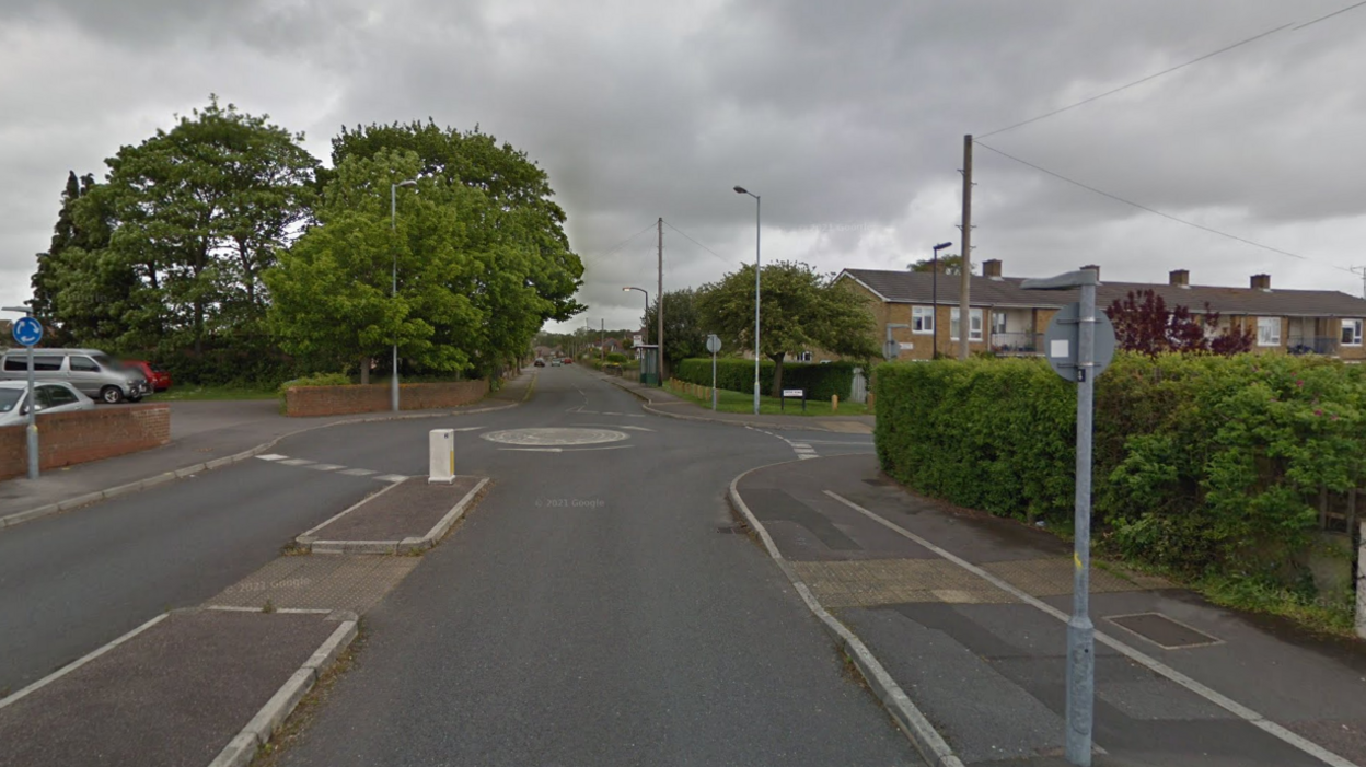 A general view picture of North East Road, a residential road with trees alongside the road