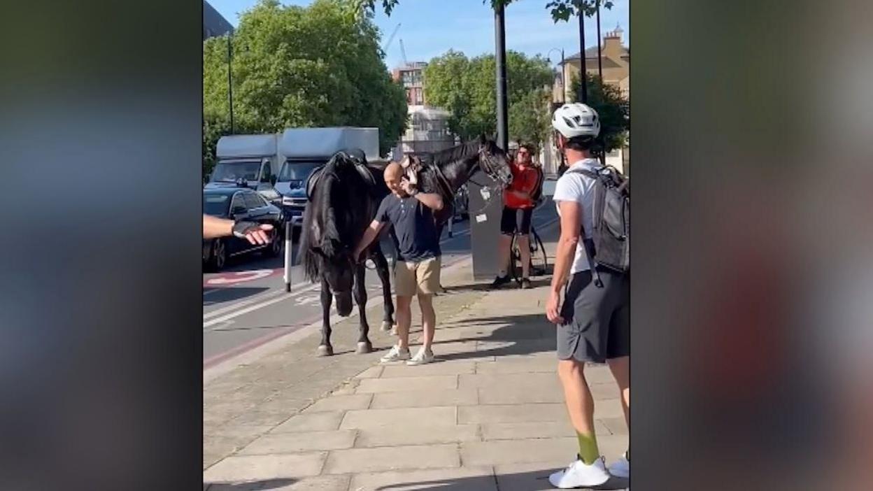 Dark horse being calmed by a man on his phone while a man with cycling helmet watches on