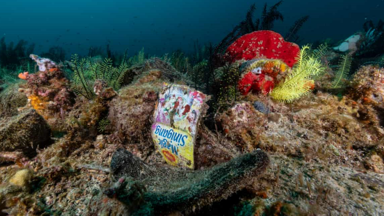 Crisp packet in an ocean.