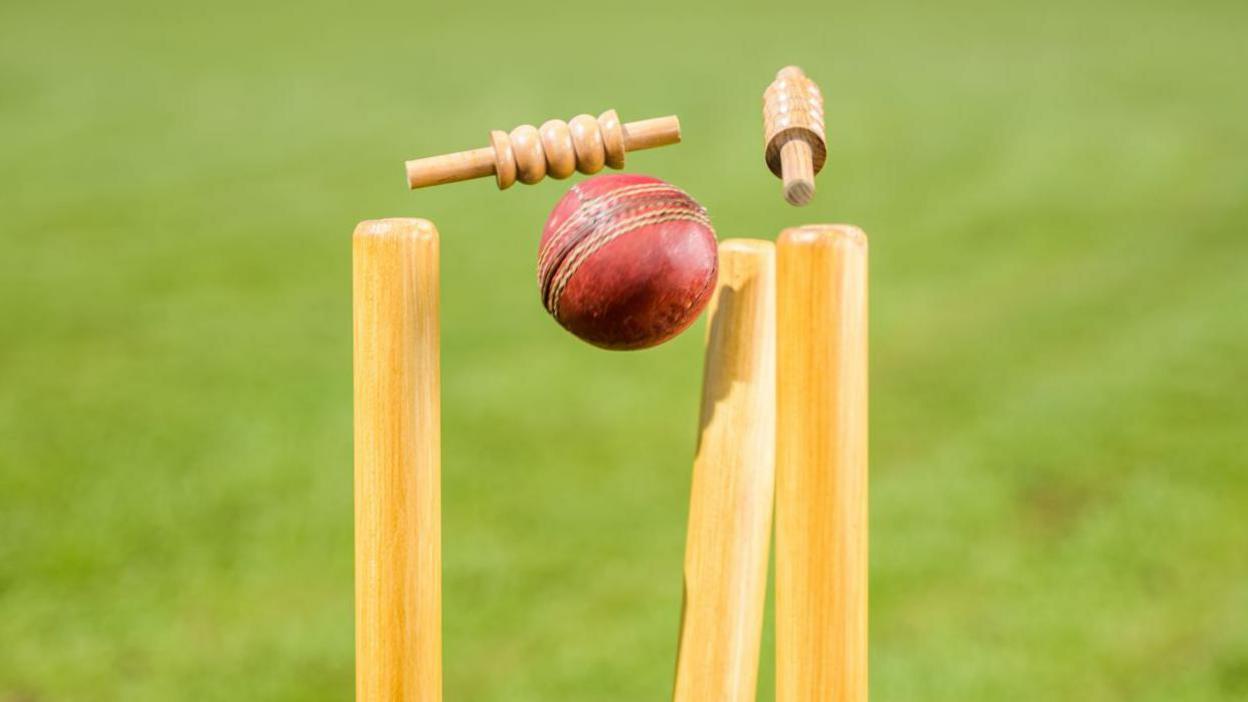 A cricket ball hitting a wicket. Grass in the background.