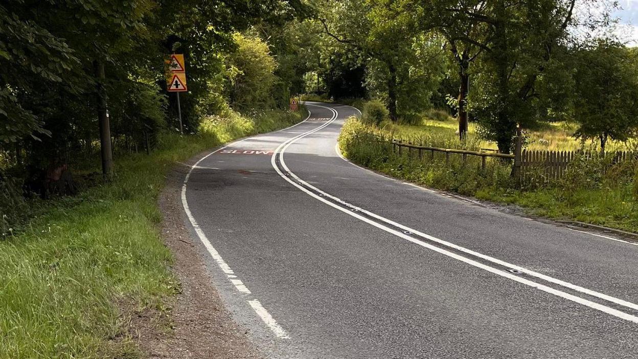 The road where the car crashed. The road can be seen curving with trees and grass on either side.