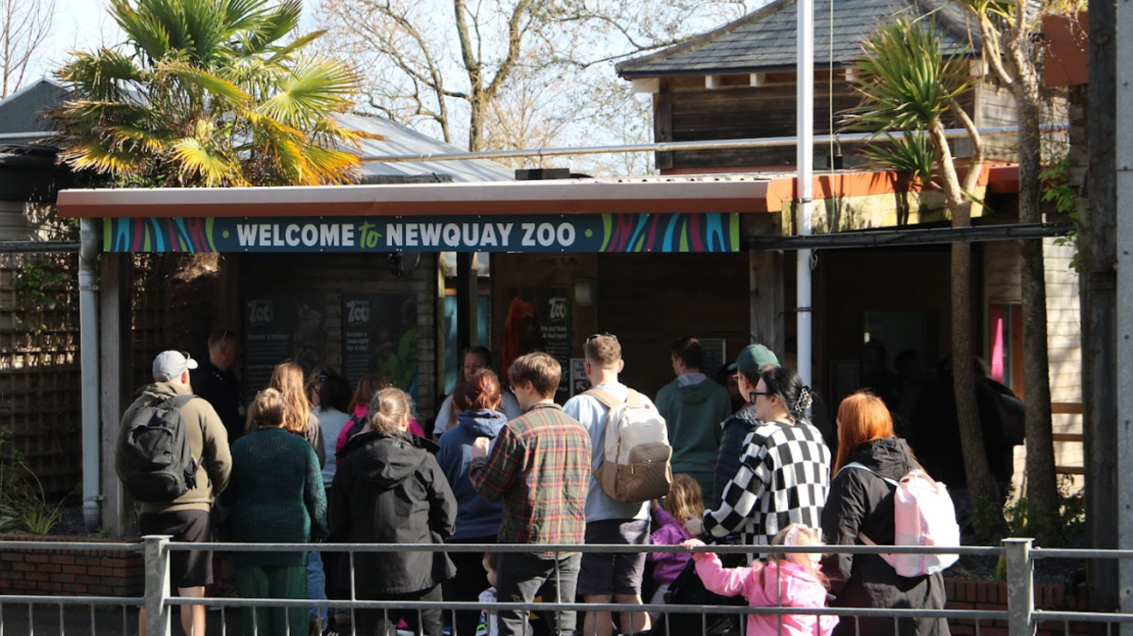 The picture shows the entrance to Newquay Zoo, where a group of people are gathered outside. The entrance features a colourful sign that reads "Welcome to Newquay Zoo" and is surrounded by palm trees and other greenery.