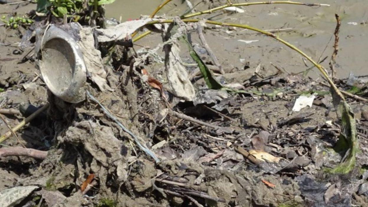 A close up of a congealed, brown, mucky waste consisting of wet wipes and plastics amongst some green branches. 