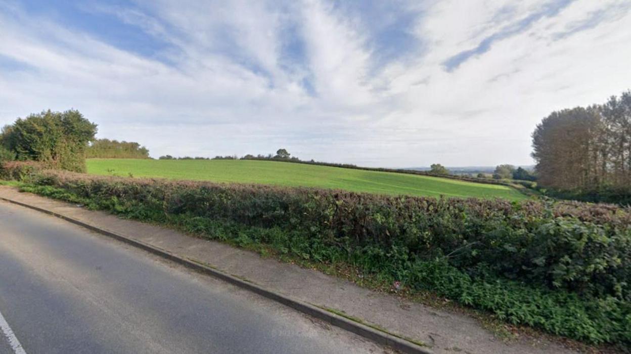 View of a green field from a road. A hedge separates the road from the field and some trees can be seen in the distance.