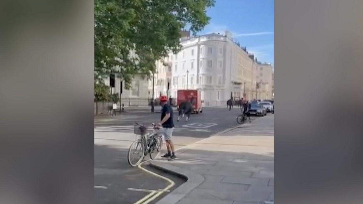 Two horses seen running away in the street with a man in the foreground standing next to his bike looking at the scene