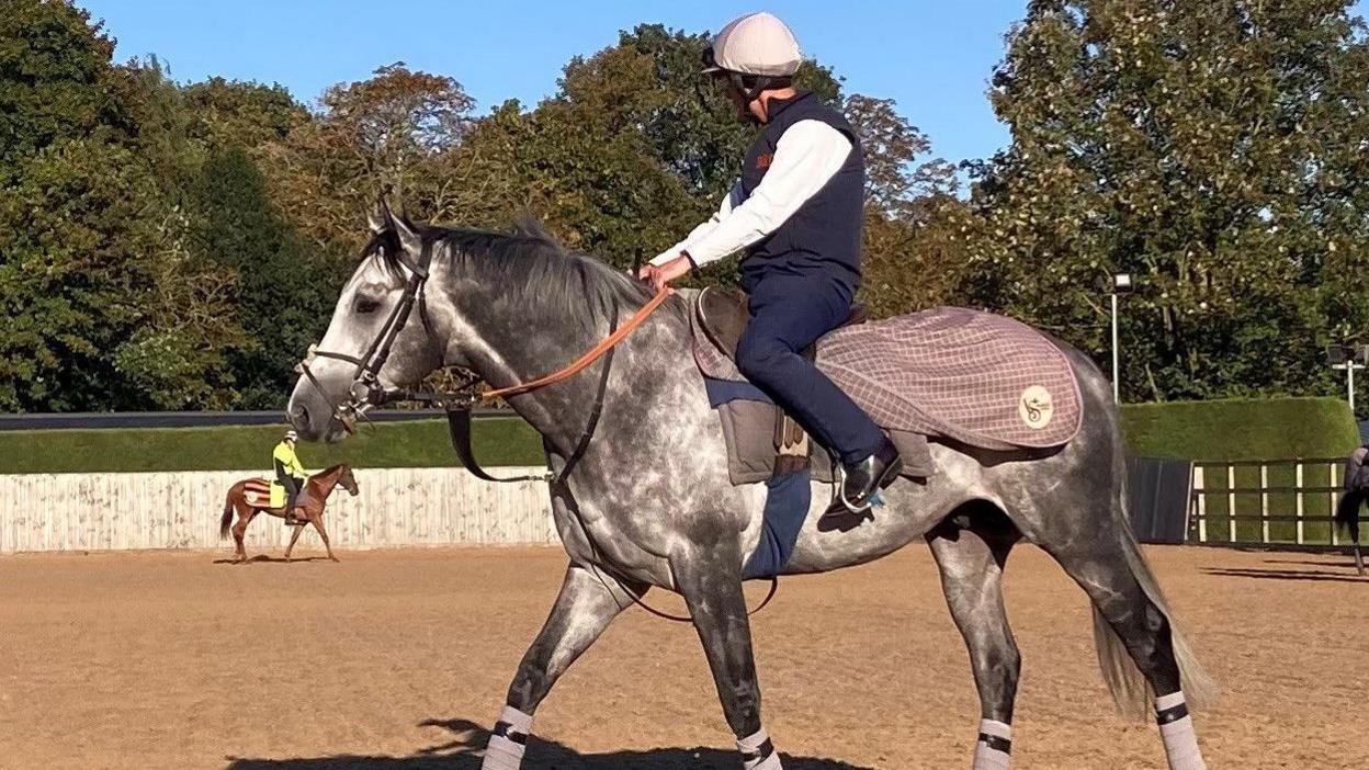 Joe Scally, in riding helmet, blue gilet over white long-sleeved top and blue trousers and black boots, aboard Charyn, a grey horse, on a training yard.