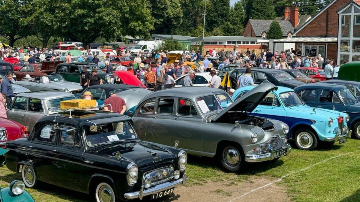 Several rows of classic cars, with people milling around them, parked on a field.