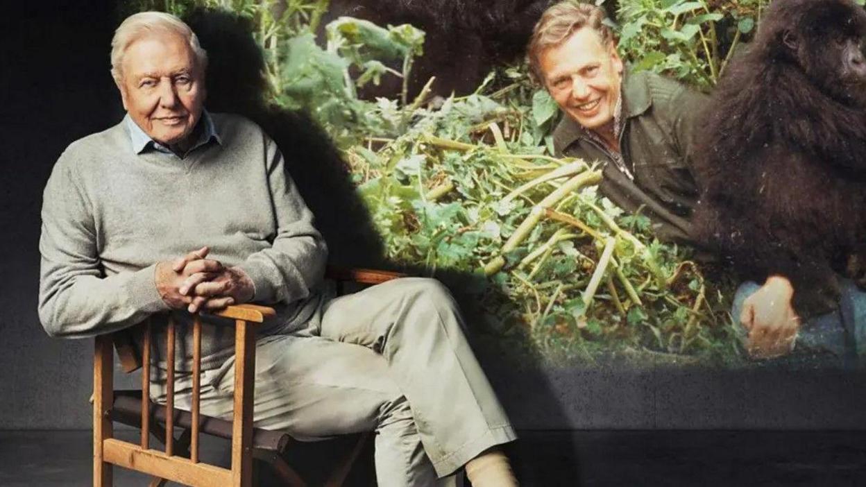 a picture of sir David Attenborough in a chair