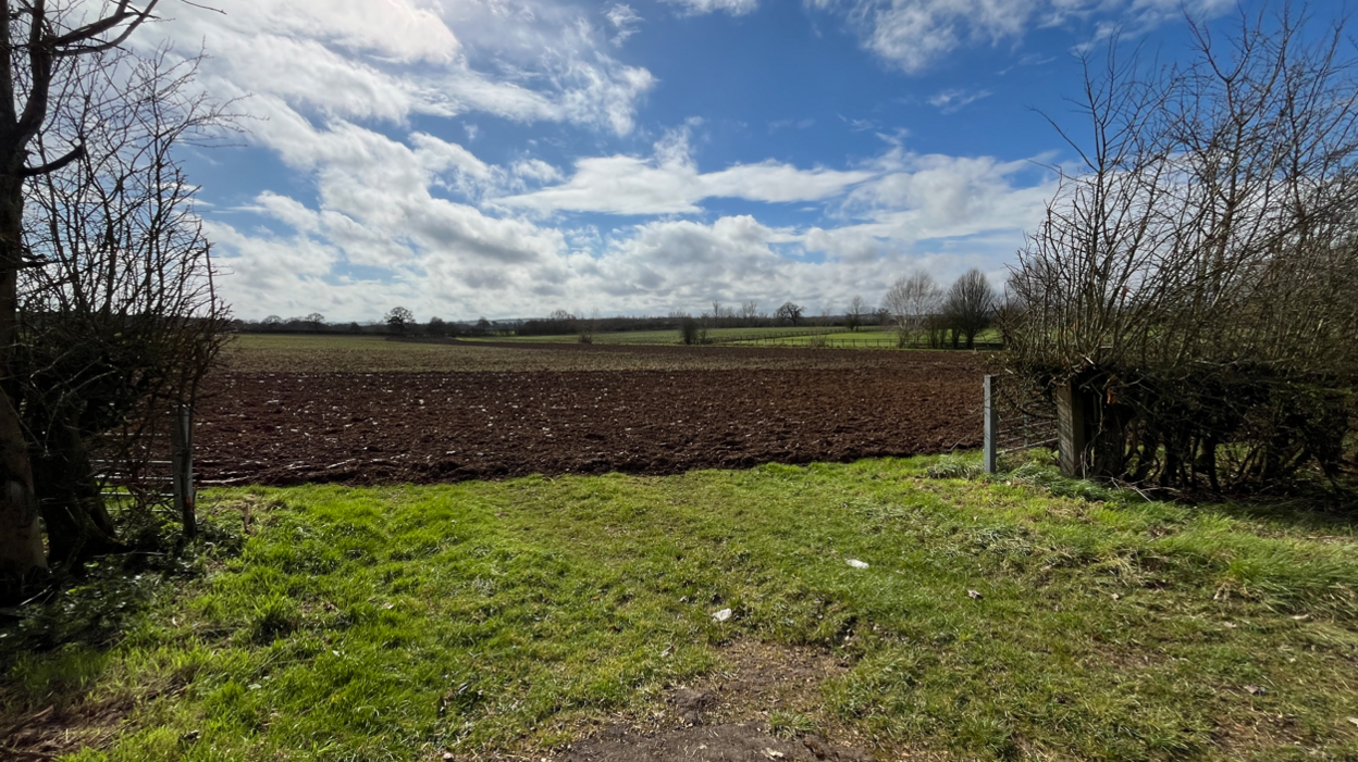 Moreton farmland