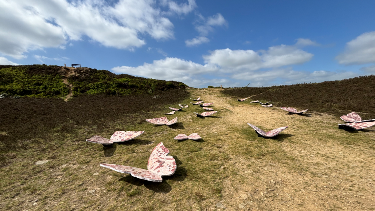 Butterfly sculptures sit on the moorland in Haworth as part of the trail.