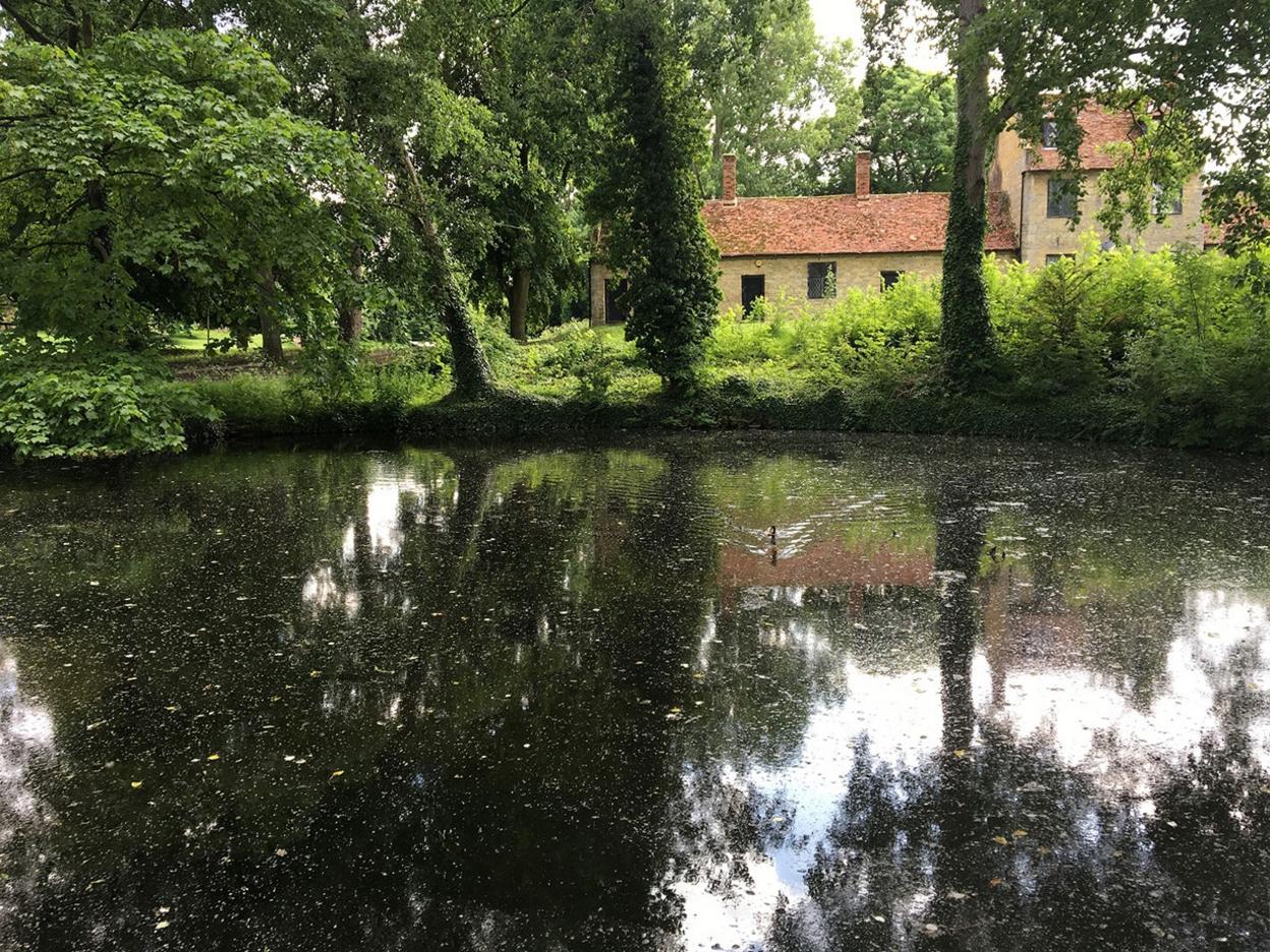 Pond before restoration