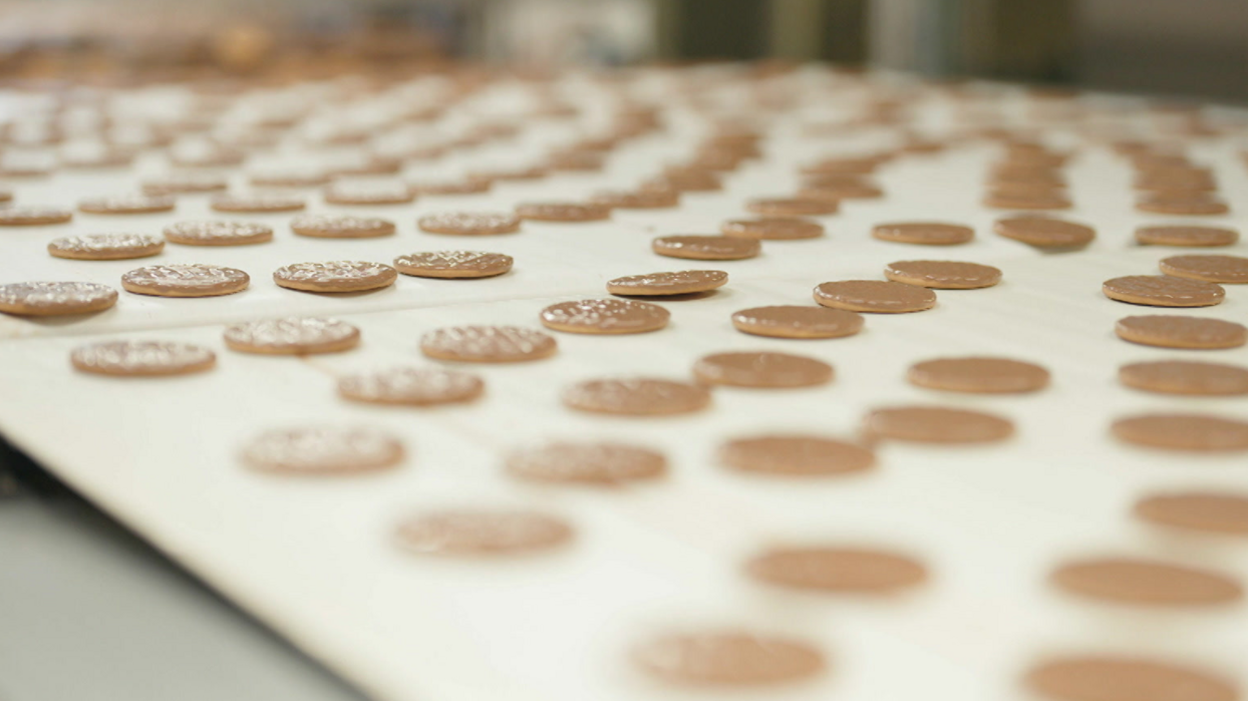 Dozens of chocolate digestive biscuits roll along a conveyor.
