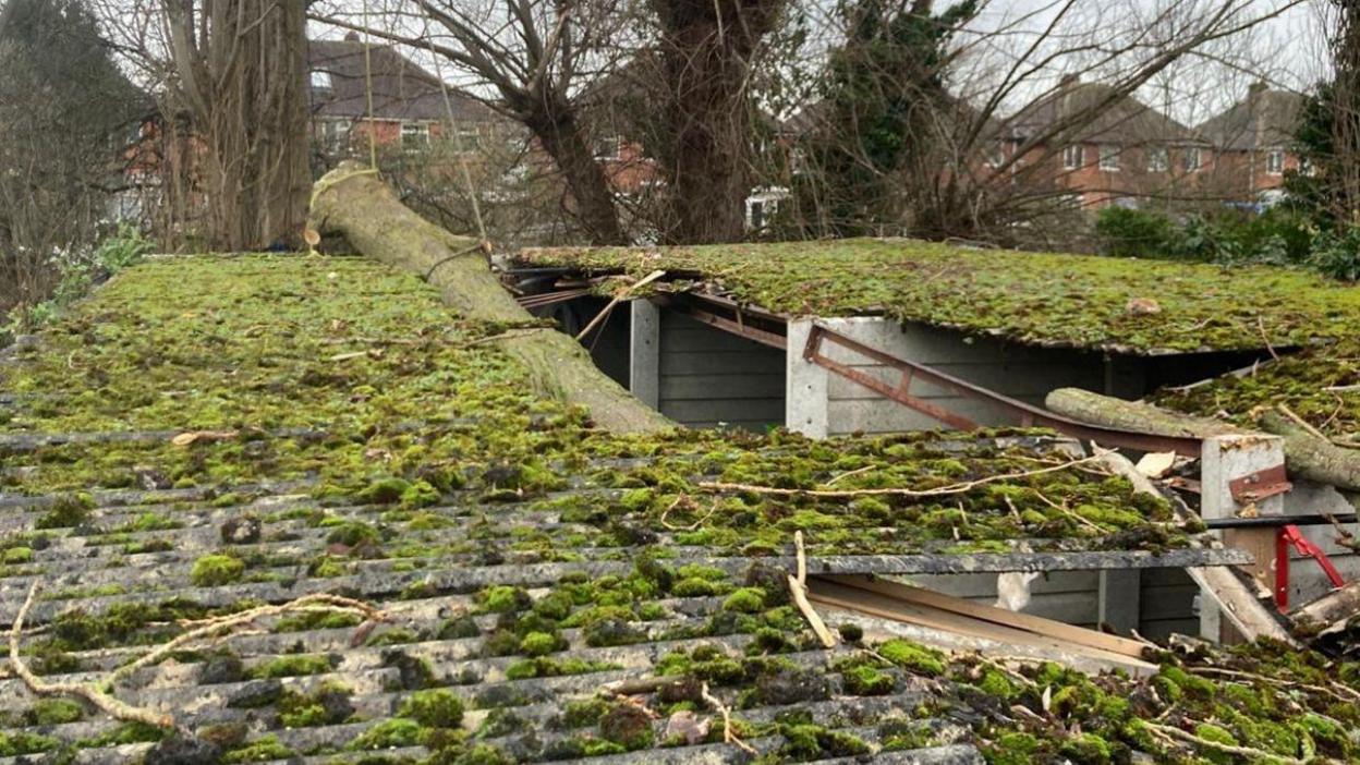 A tree which has fallen through a corrugated roof with moss on. You can see inside the garages below.