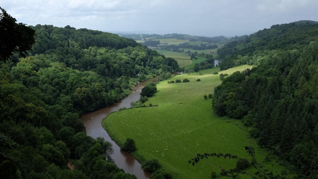 The Wye Valley