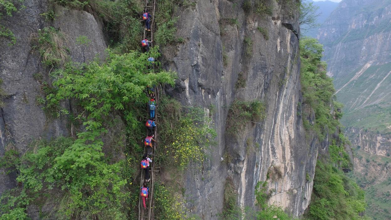 Vine ladders on a mountain