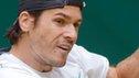 Tommy Haas