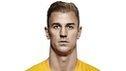 England goalkeeper Joe Hart