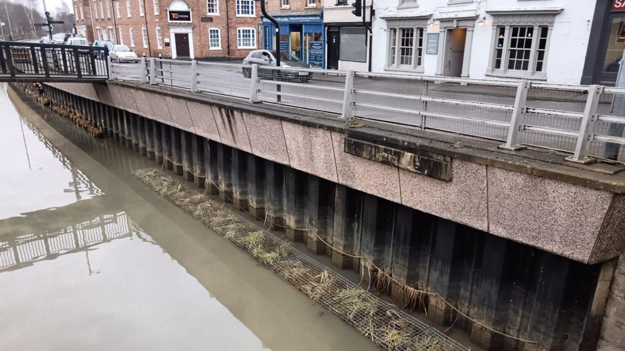 The concrete edge to the river running along side a road now has a line of floating plants along the edge.