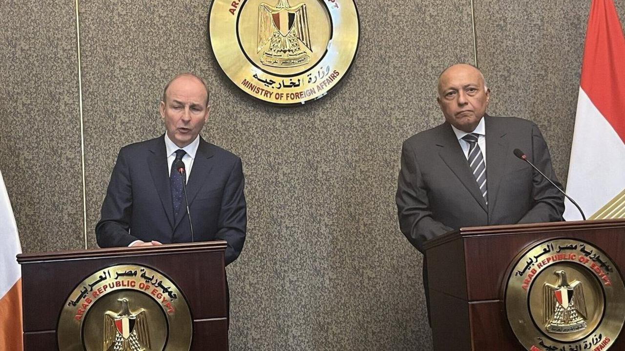 Tanaiste Micheál Martin and Egypt's foreign minister Sahem Shoukry