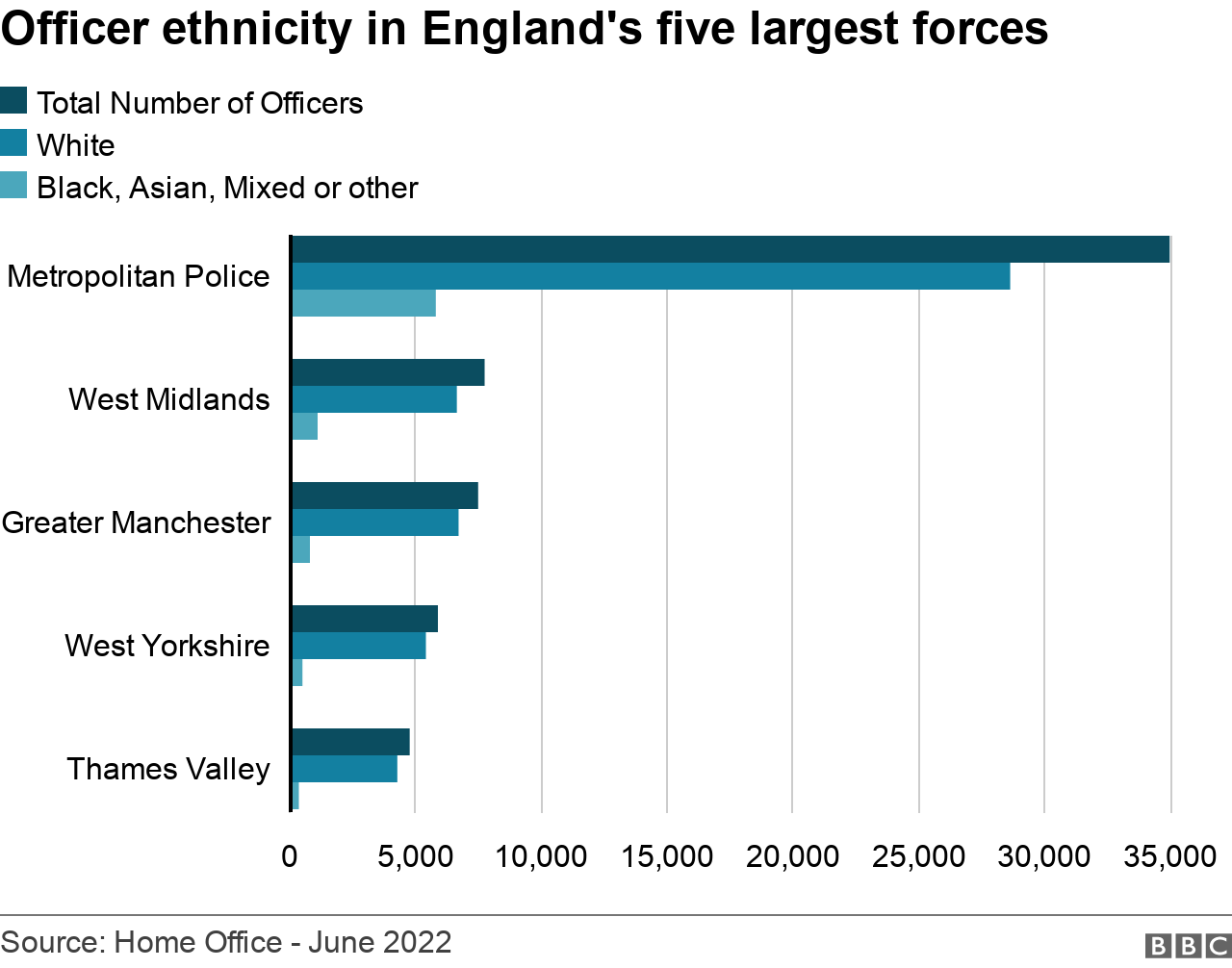 Graph detailing ethnic make-up of England's five largest forces