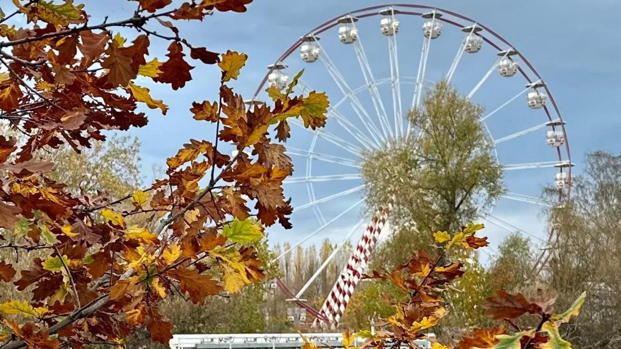 A large white big wheel is viewed against a blue sky. The photo has been taken through the branches of a tree covered in brown leaves.