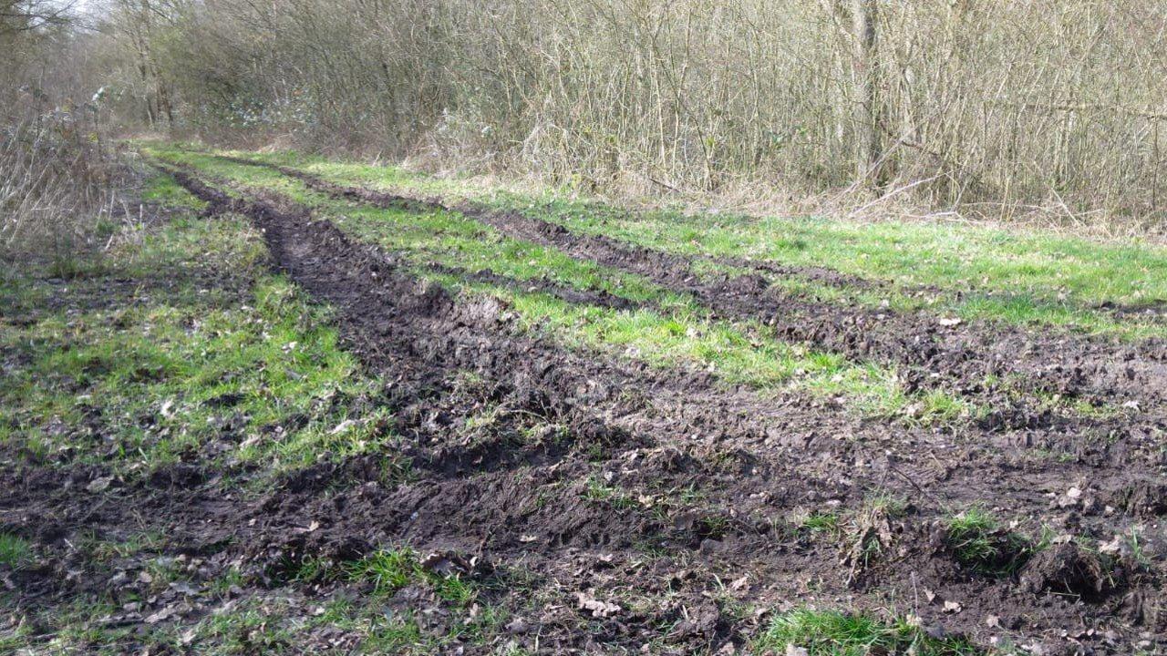 Deep ruts in the ground through the woods