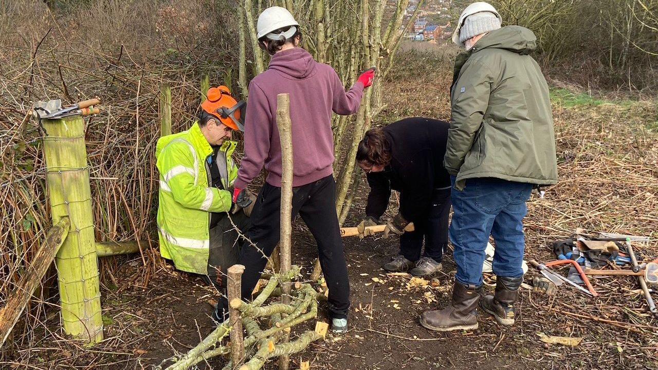 Four people - three wearing hard hats - chopping tree branches in a woodland area.