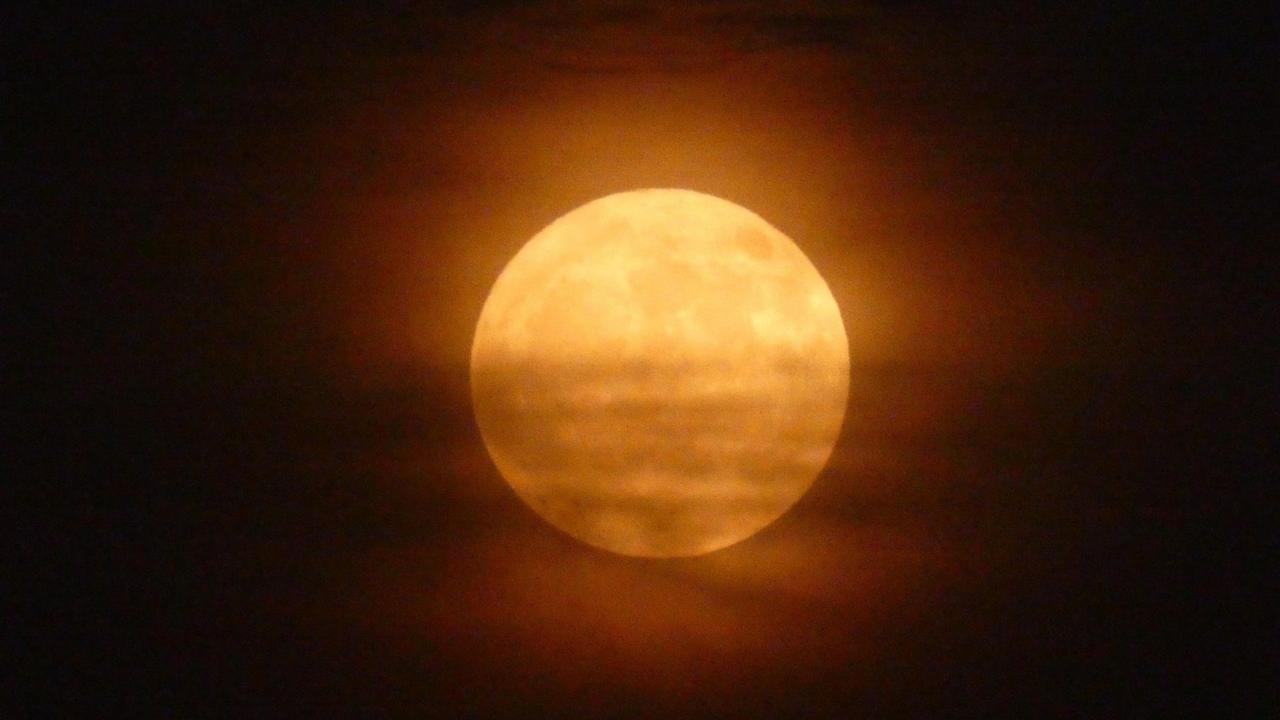 Flower Moon : ce qu'il faut savoir — image 4